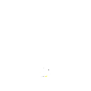 nn11